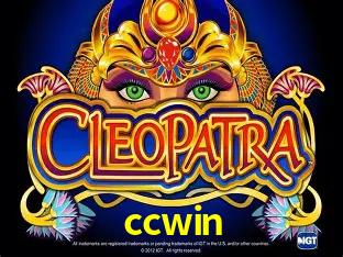 Descubra a Essência do ccwin: Nossa História e Compromissos